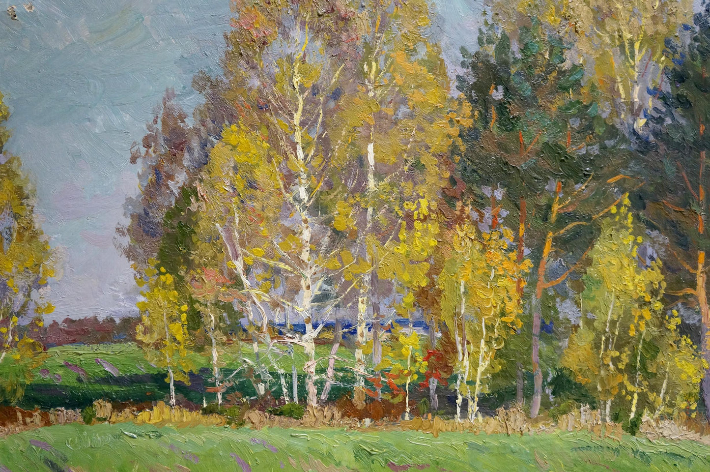 Autumnal birch trees oil painting by Anatoly Fomin