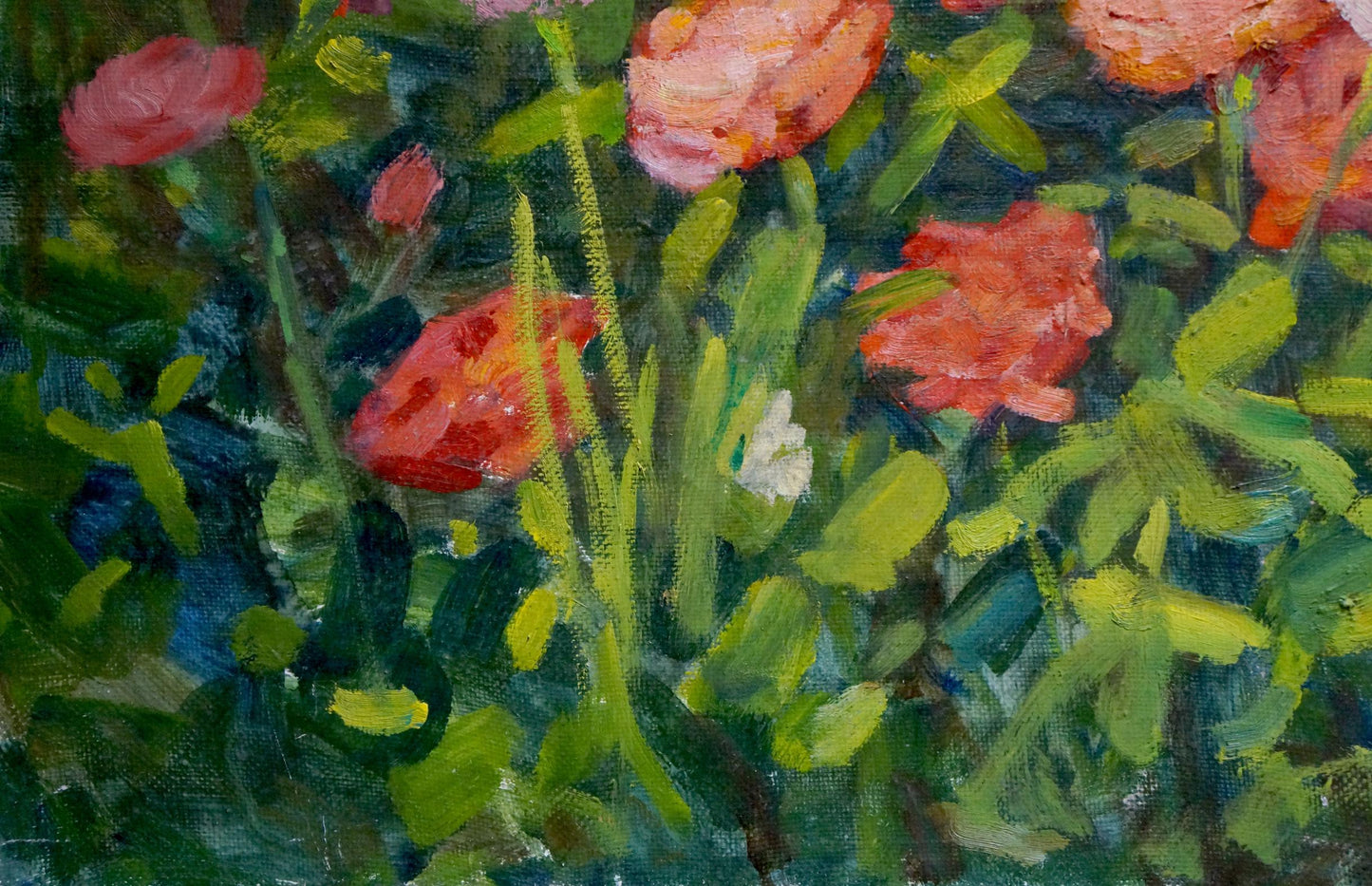 Vibrant pink red rose fields by Smirnov Yuri Alexandrovich oil painting