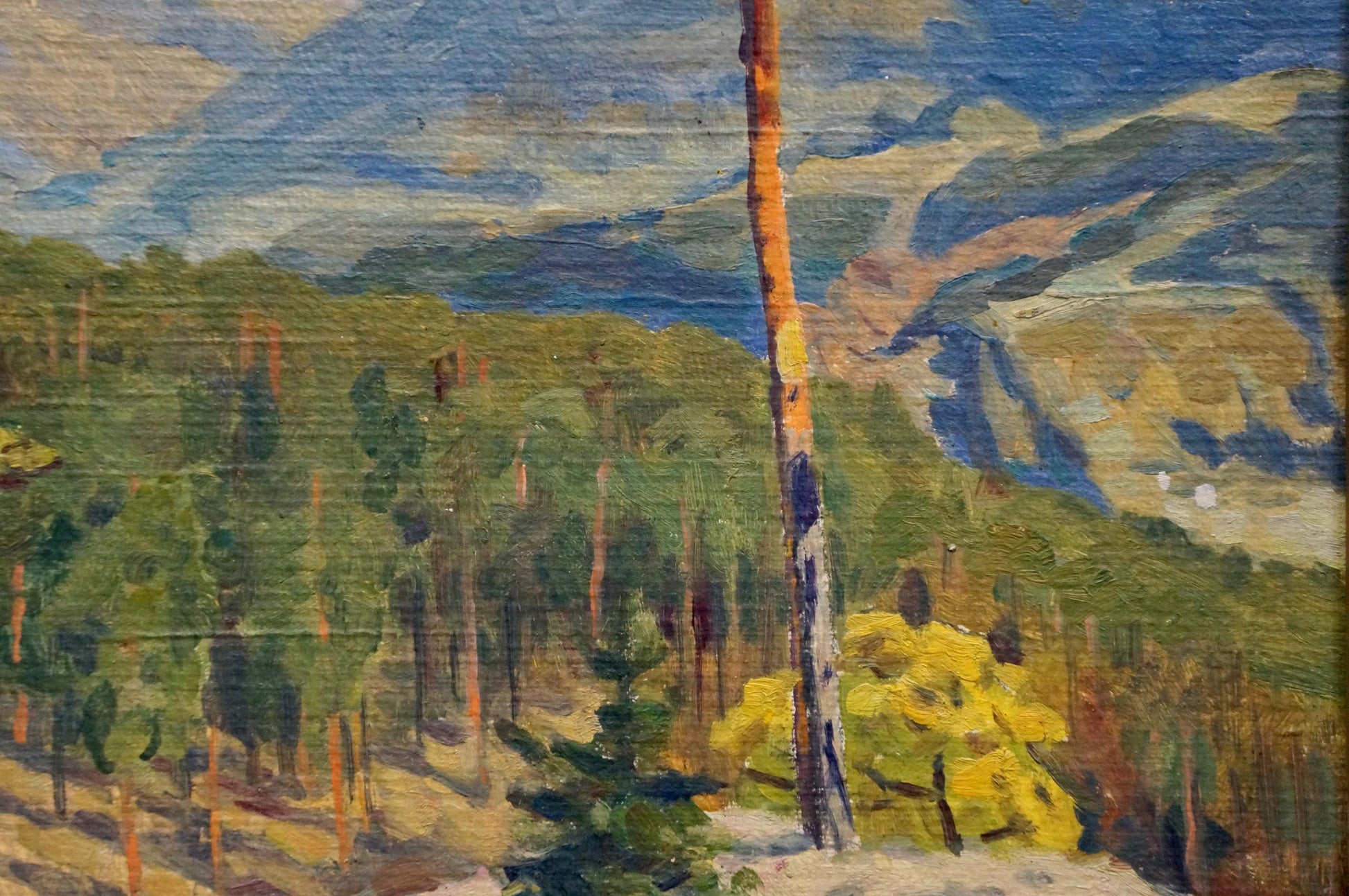 Oil painting Autumn in the Caucasus by Vagin Boris Ivanovich