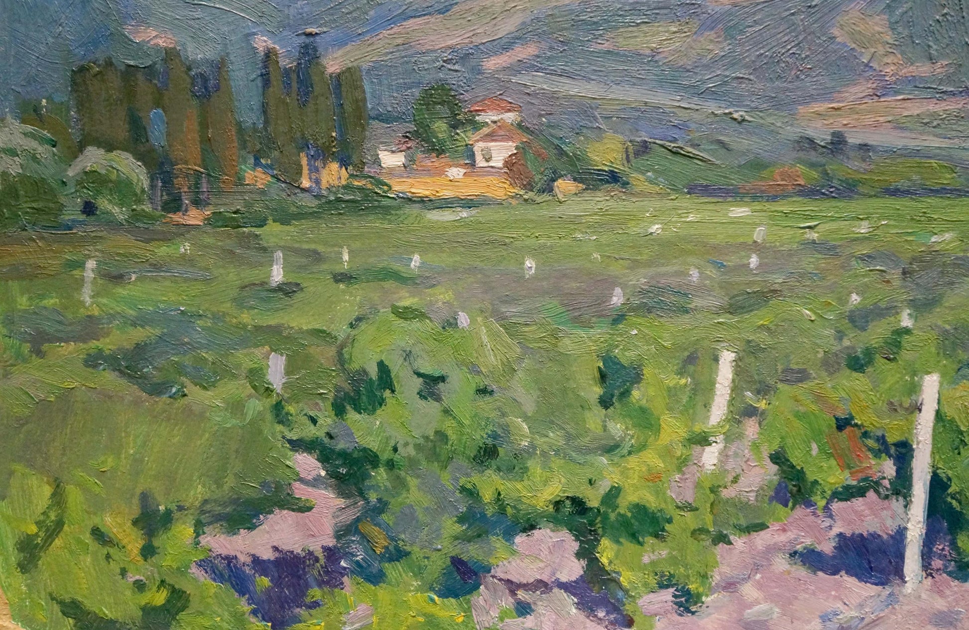 Vibrant oil painting of grape fields by Miroshnichenko Ivan Vasilievich