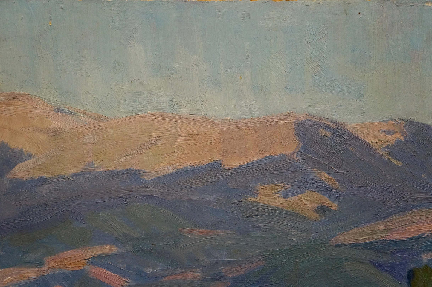 Oil painting of grape fields by Miroshnichenko Ivan Vasilievich