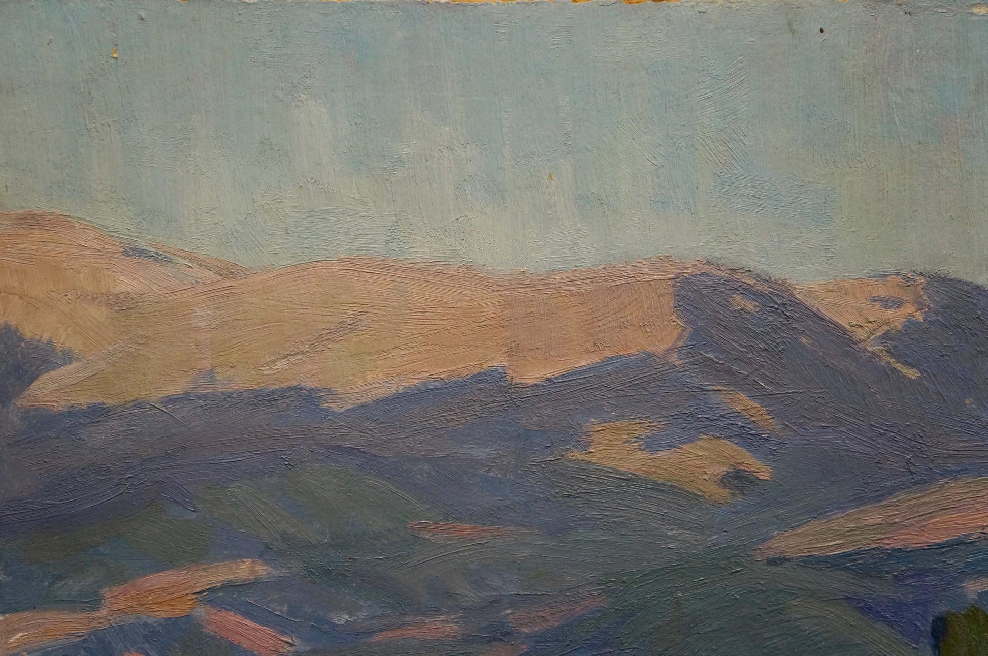 Oil painting of grape fields by Miroshnichenko Ivan Vasilievich