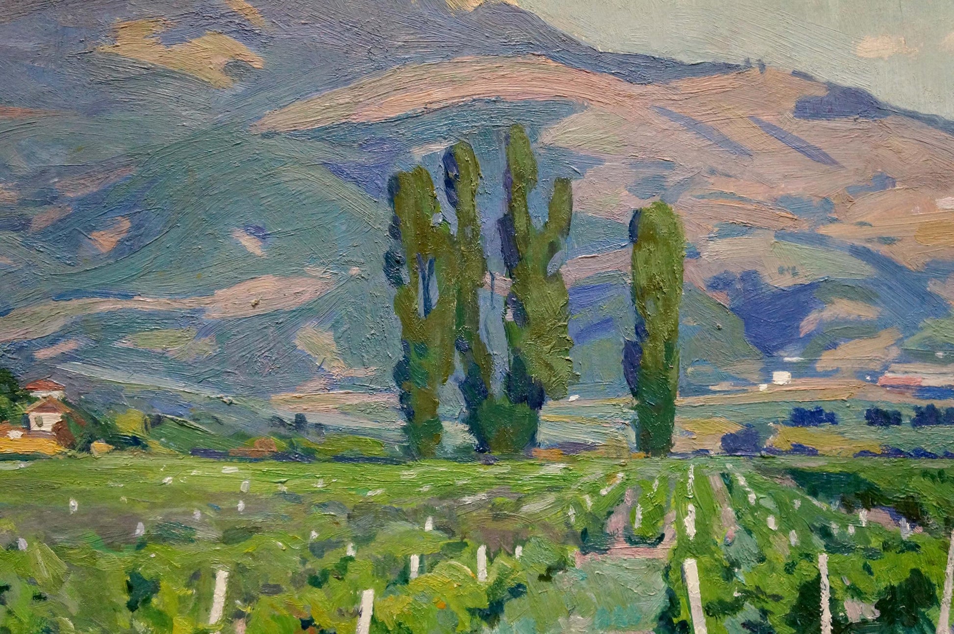 Oil painting of grape fields by Miroshnichenko Ivan Vasilievich