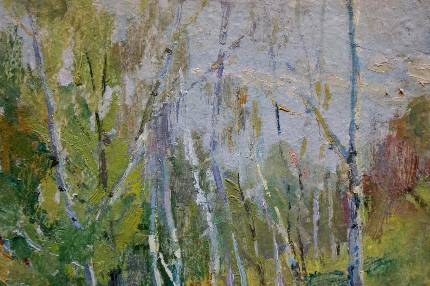 Textured impressionist oil painting of slender birch trees camping in woods
