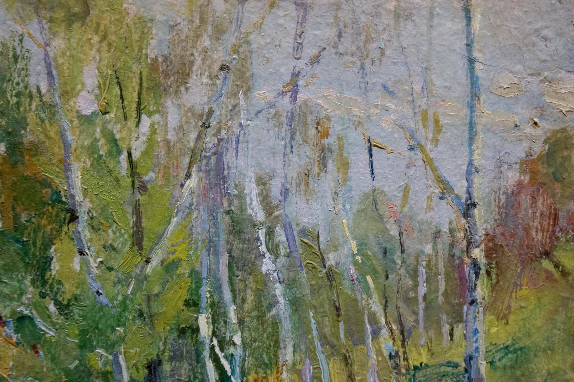 Textured impressionist oil painting of slender birch trees camping in woods