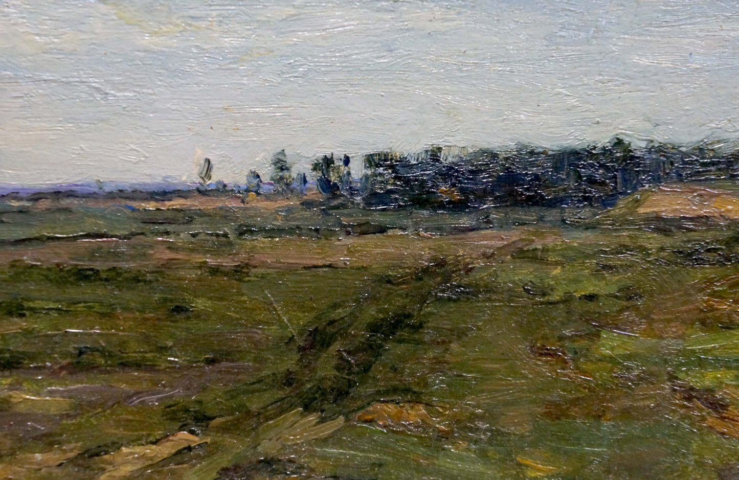 Oil painting by Trohimenko Karp Demyanovich: impressionistic forest landscape