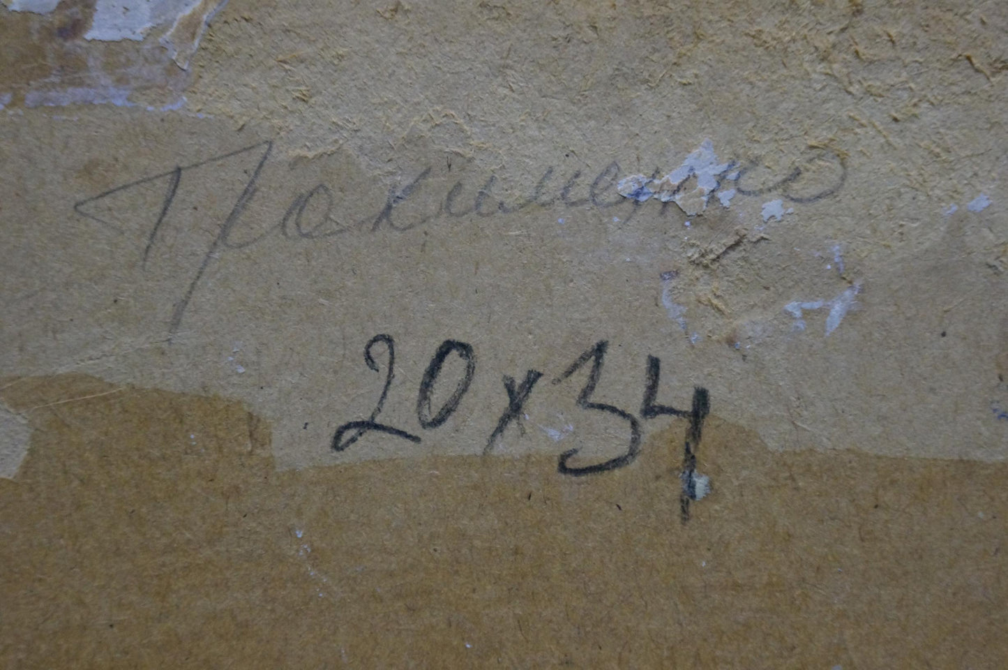 Back of Trohimenko Karp Demyanovich forest oil painting with handwritten signature and dimensions on beige canvas