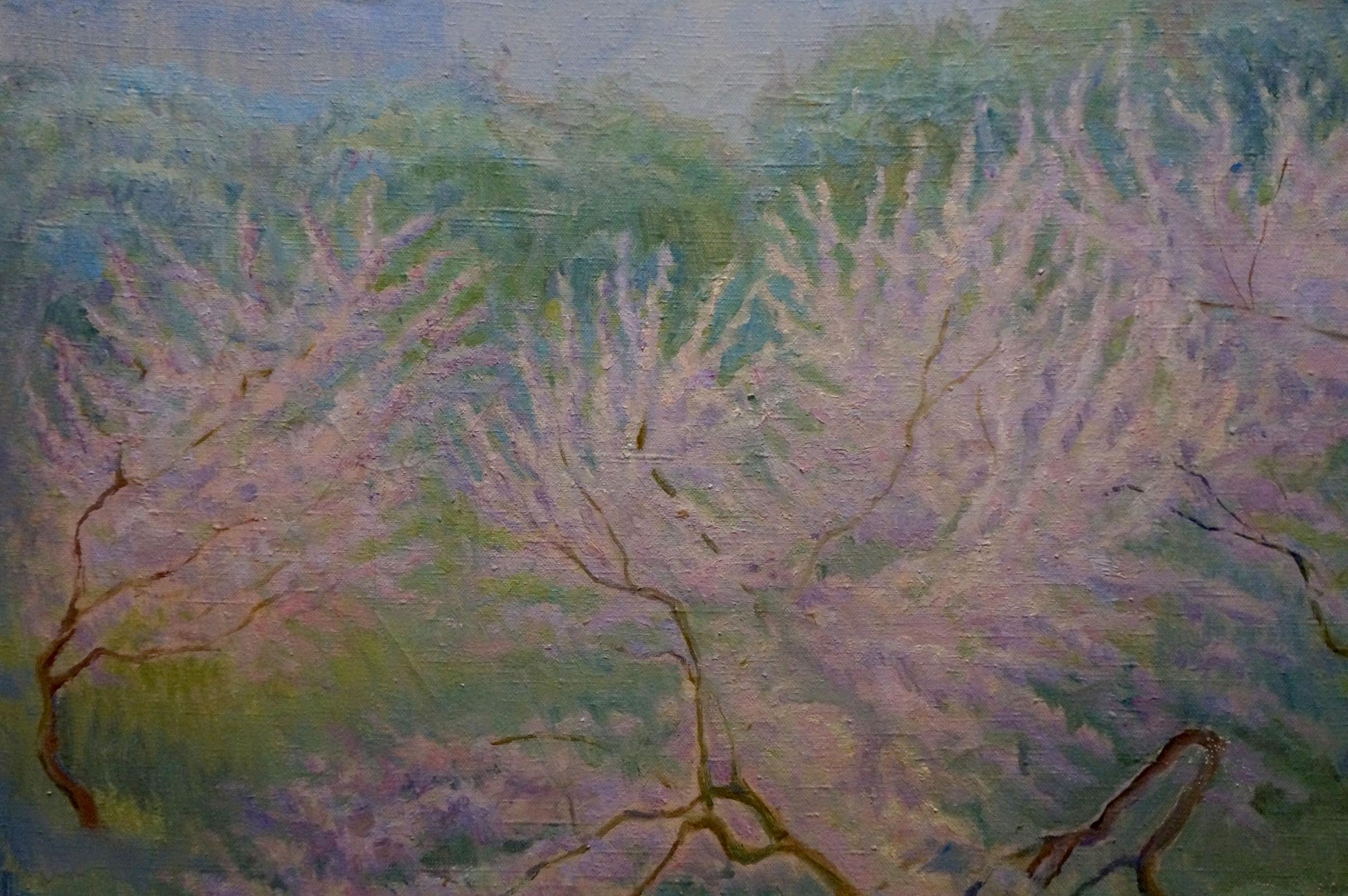 Oil painting of tree blossoms by Titarenko Elvira Ivanovna