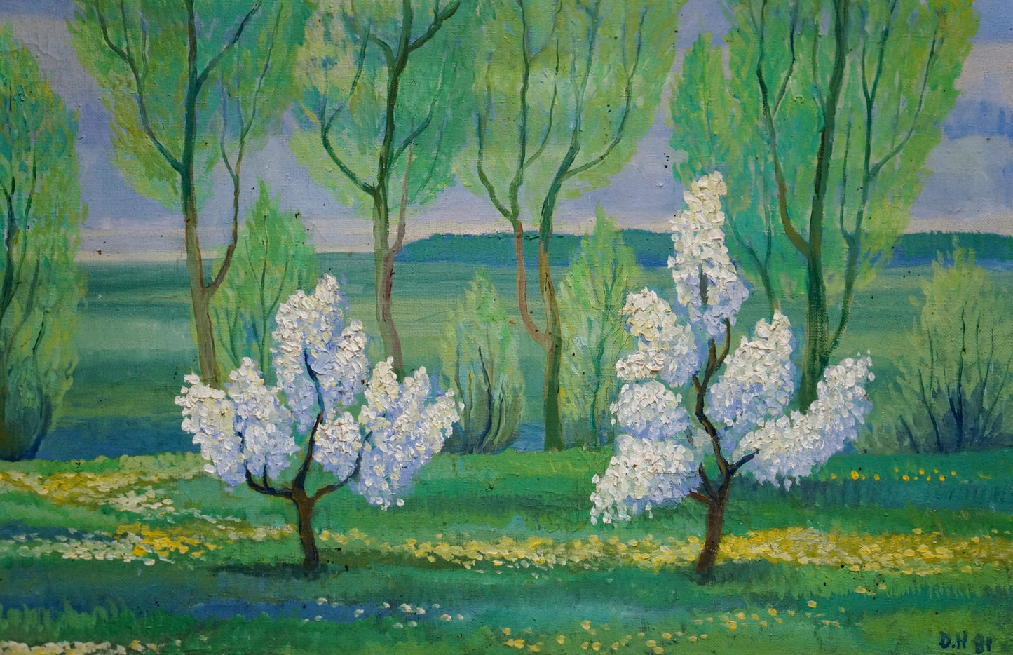 Oil painting of white blossoming trees in green field by Daniil Georgievich Narbut