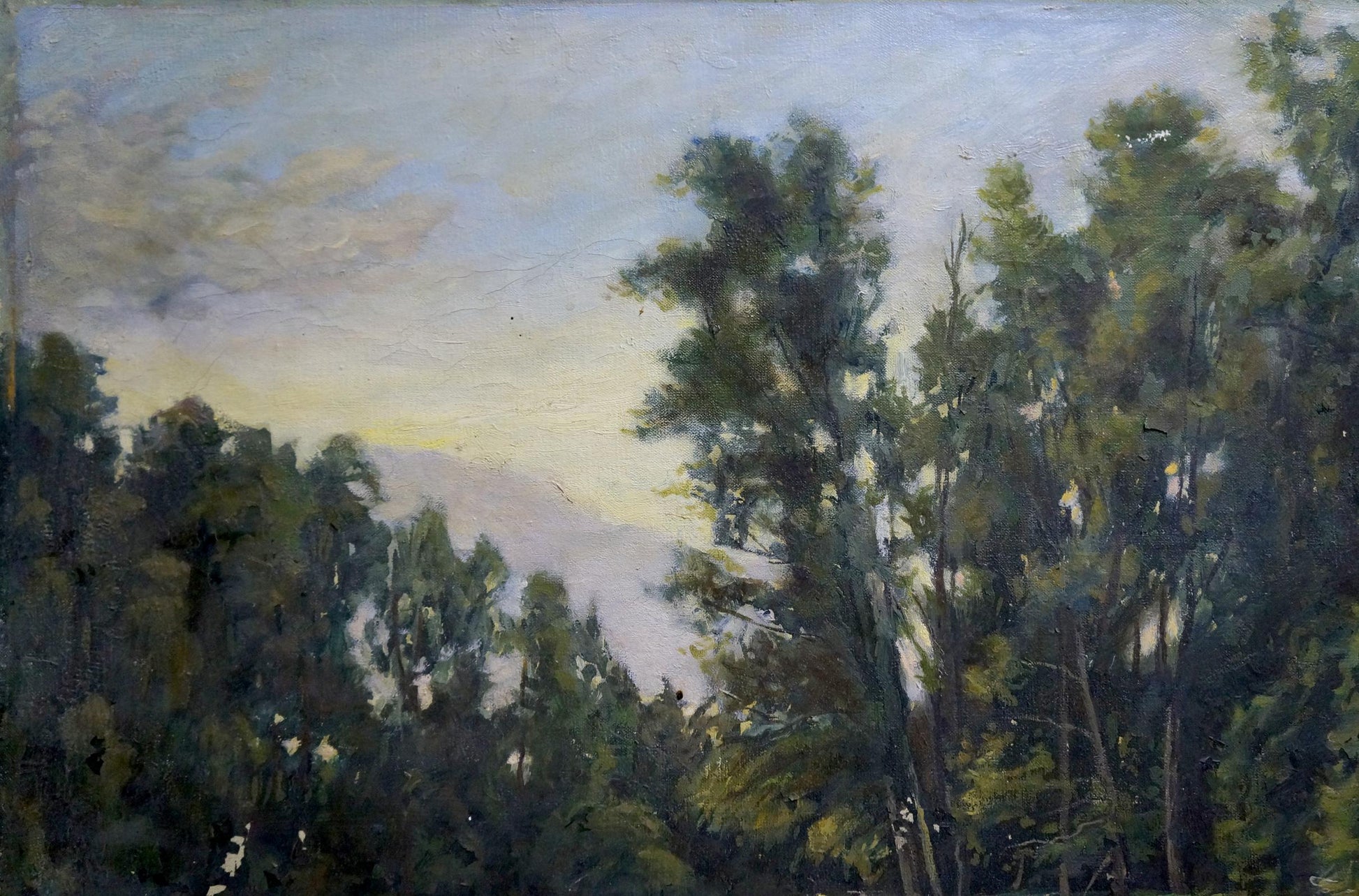 Serene impressionistic oil painting of swamps in lush forest, unknown artist