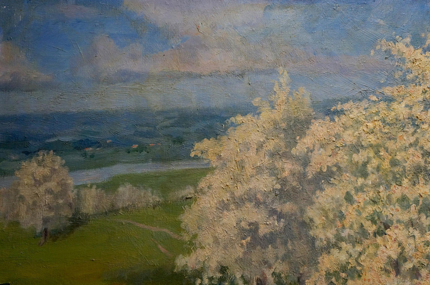 Oil painting Trees are blooming: serene textured landscape with white trees under blue sky