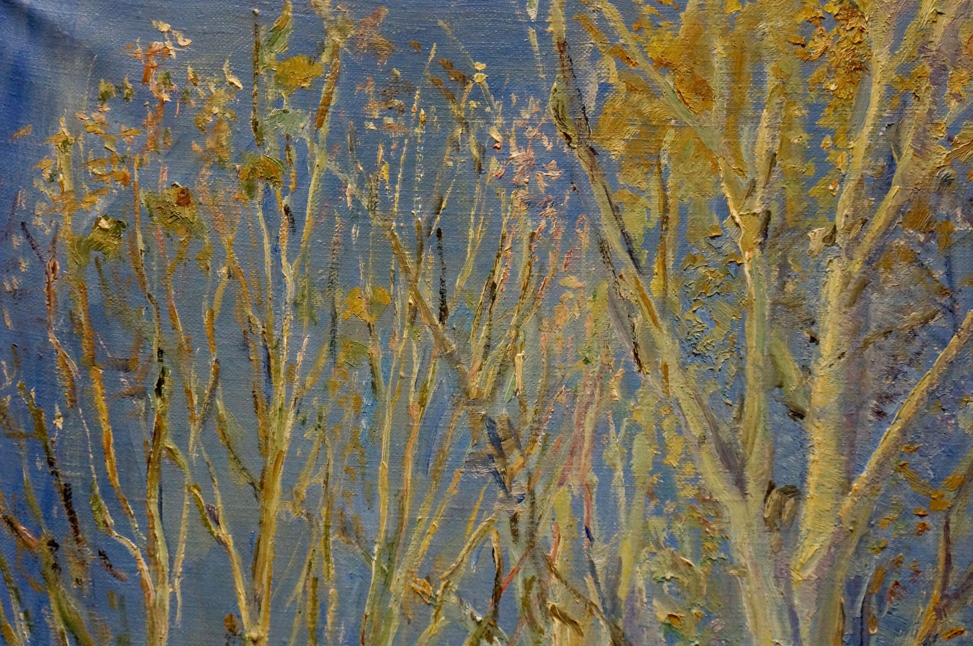 Impressionistic oil painting of bare autumn forest branches by Tytarenko Odarka Anatoliivna