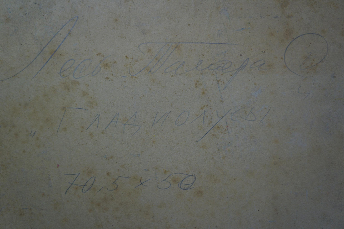 Faded handwritten Gladiolus Les Tamara inscription on aged stained paper