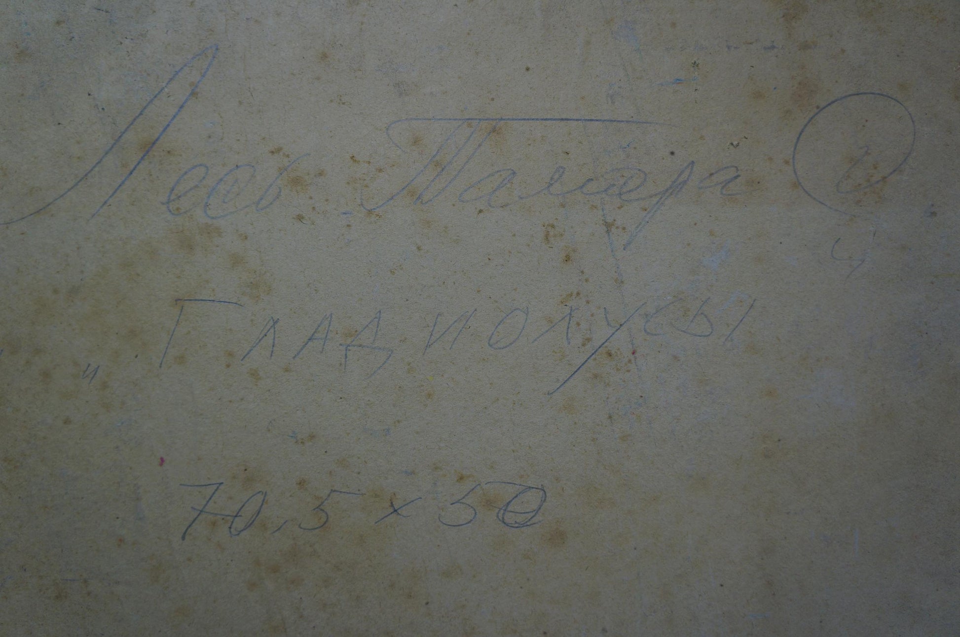 Faded handwritten Gladiolus Les Tamara inscription on aged stained paper