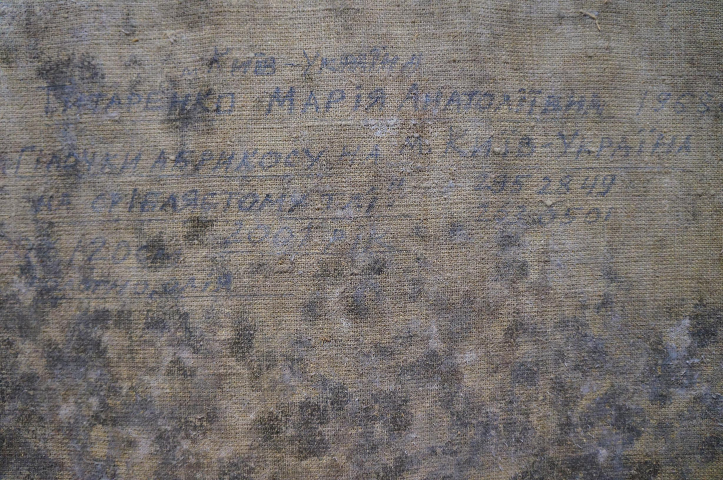 Back of Oil painting Summer joys by Titarenko Maria Anatolyevna, faded Cyrillic fabric