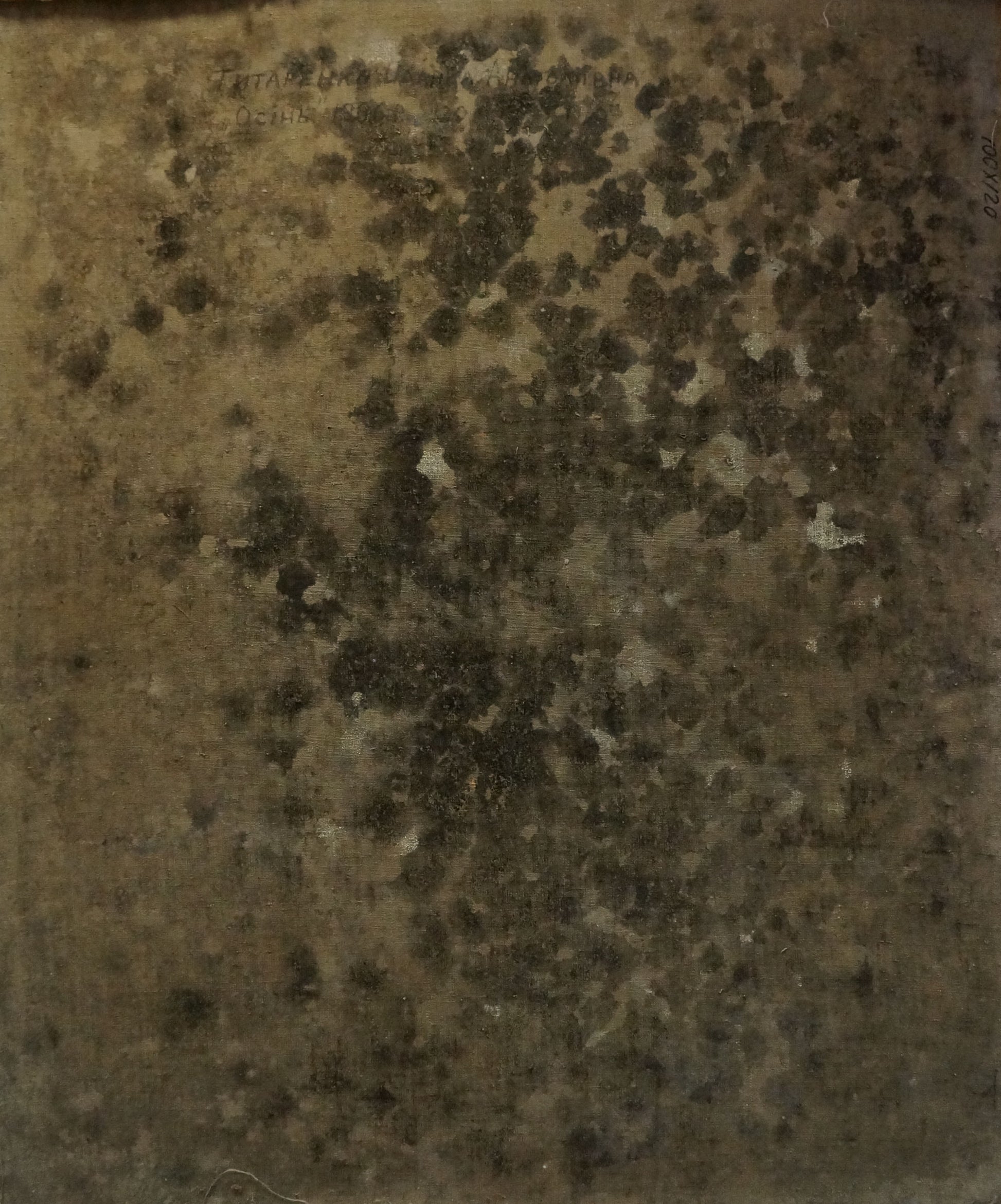 Weathered dark brown stone back of Oil painting Autumn Tytarenko Odarka Anatoliivna