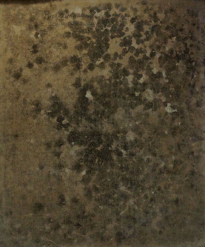 Weathered dark brown stone back of Oil painting Autumn Tytarenko Odarka Anatoliivna