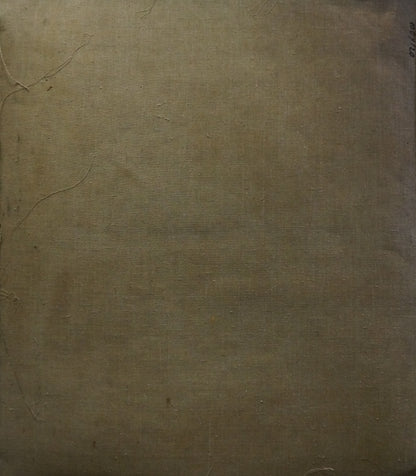 Back of weathered beige canvas by Titarenko Maria Anatolyevna