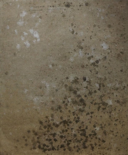 Weathered beige canvas back of Maria Titarenko oil painting Apple tree blossoms