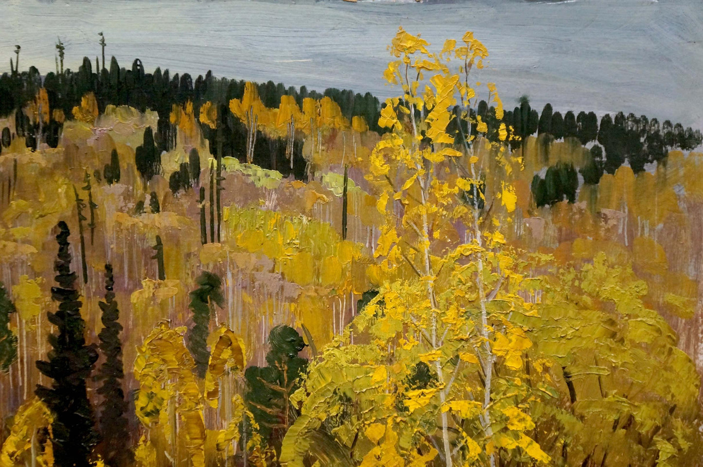Autumn birch trees and evergreens oil painting by Vladimir Vladimirovich Nabokov