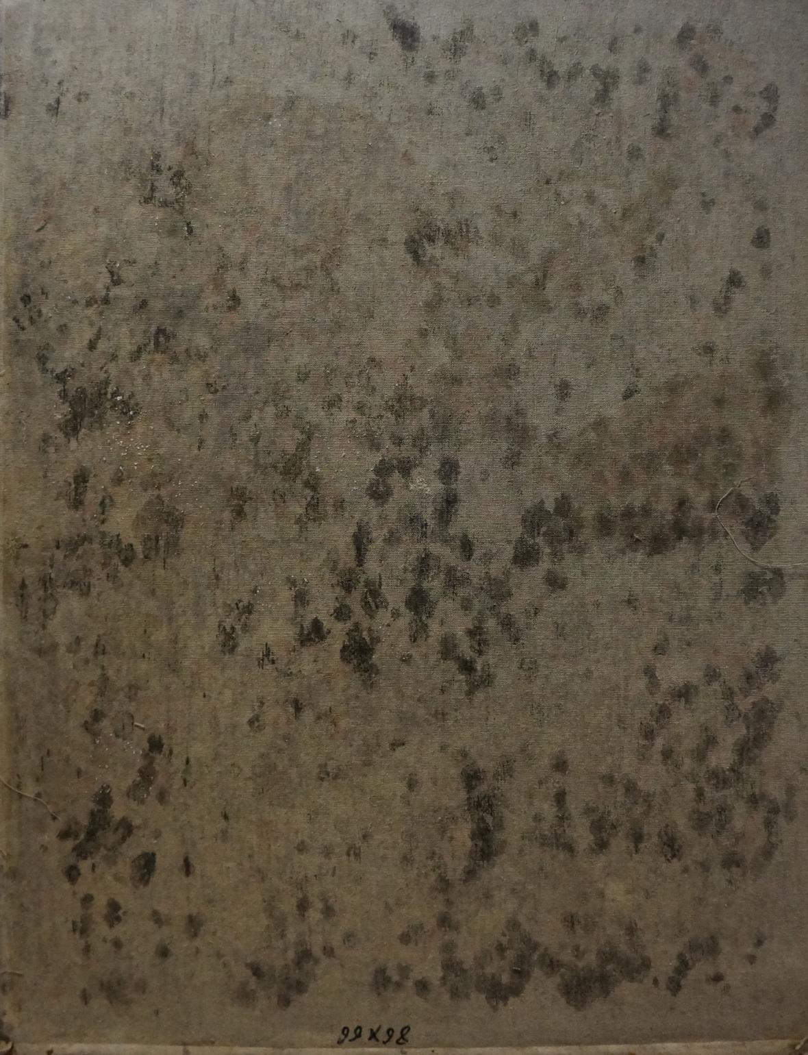Back of weathered canvas for Oil painting Sunflowers by Tytarenko Odarka Anatoliivna
