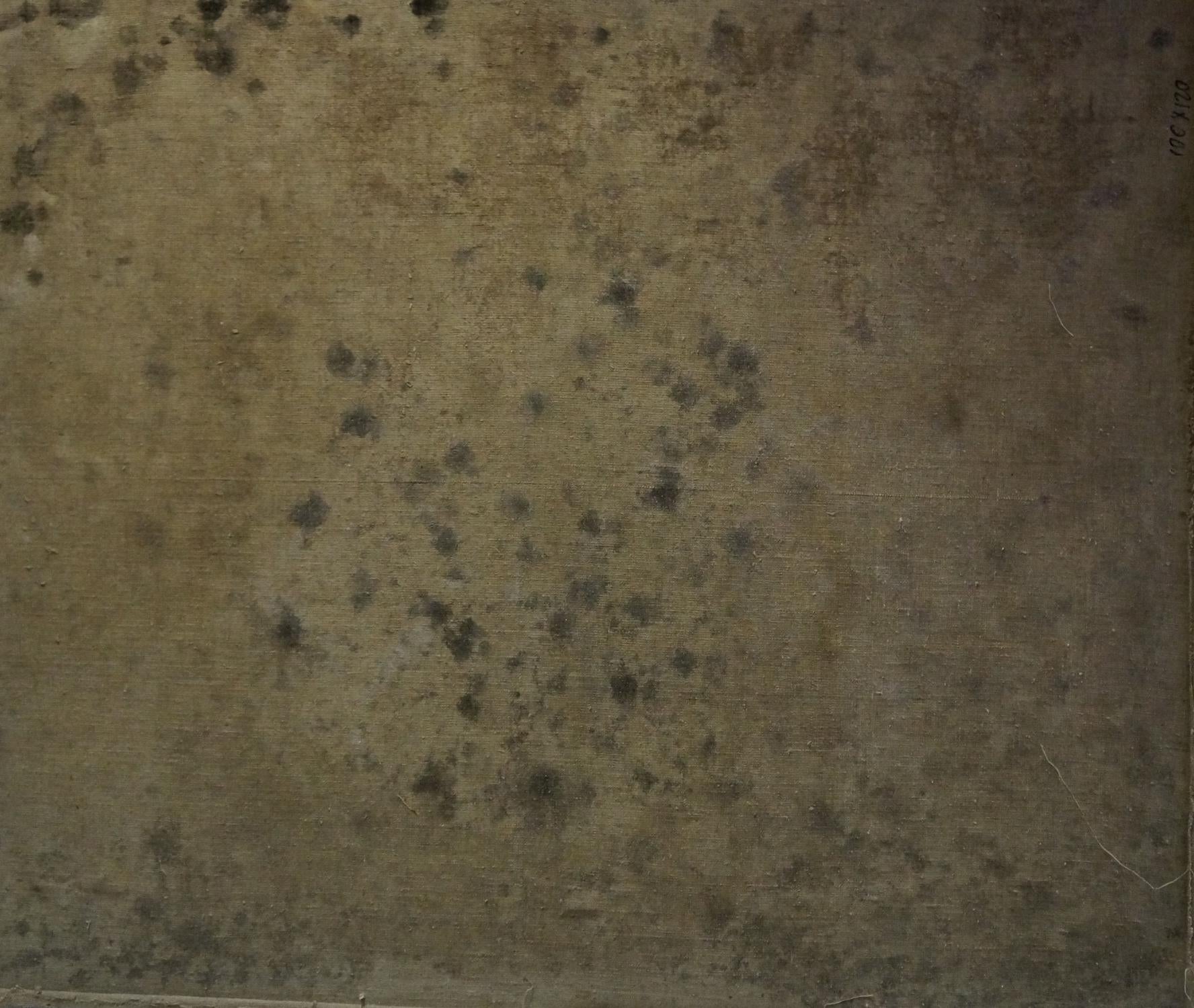 Back of oil painting Portrait of gypsies by Tytarenko Odarka Anatoliivna with weathered beige surface and dark spots