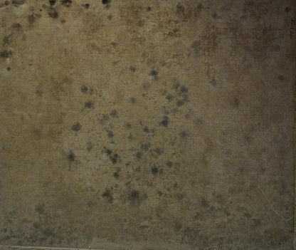 Back of oil painting Portrait of gypsies by Tytarenko Odarka Anatoliivna with weathered beige surface and dark spots