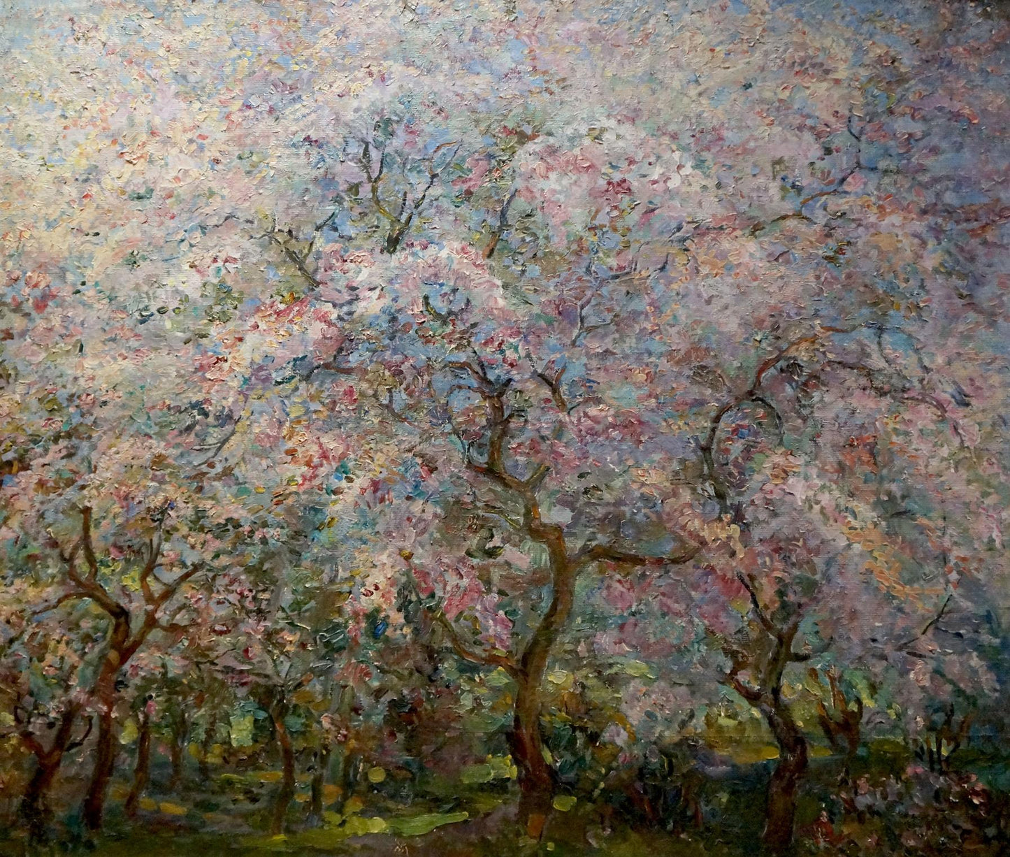 Impressionistic oil painting of blooming cherry trees by Tytarenko Odarka Anatoliivna