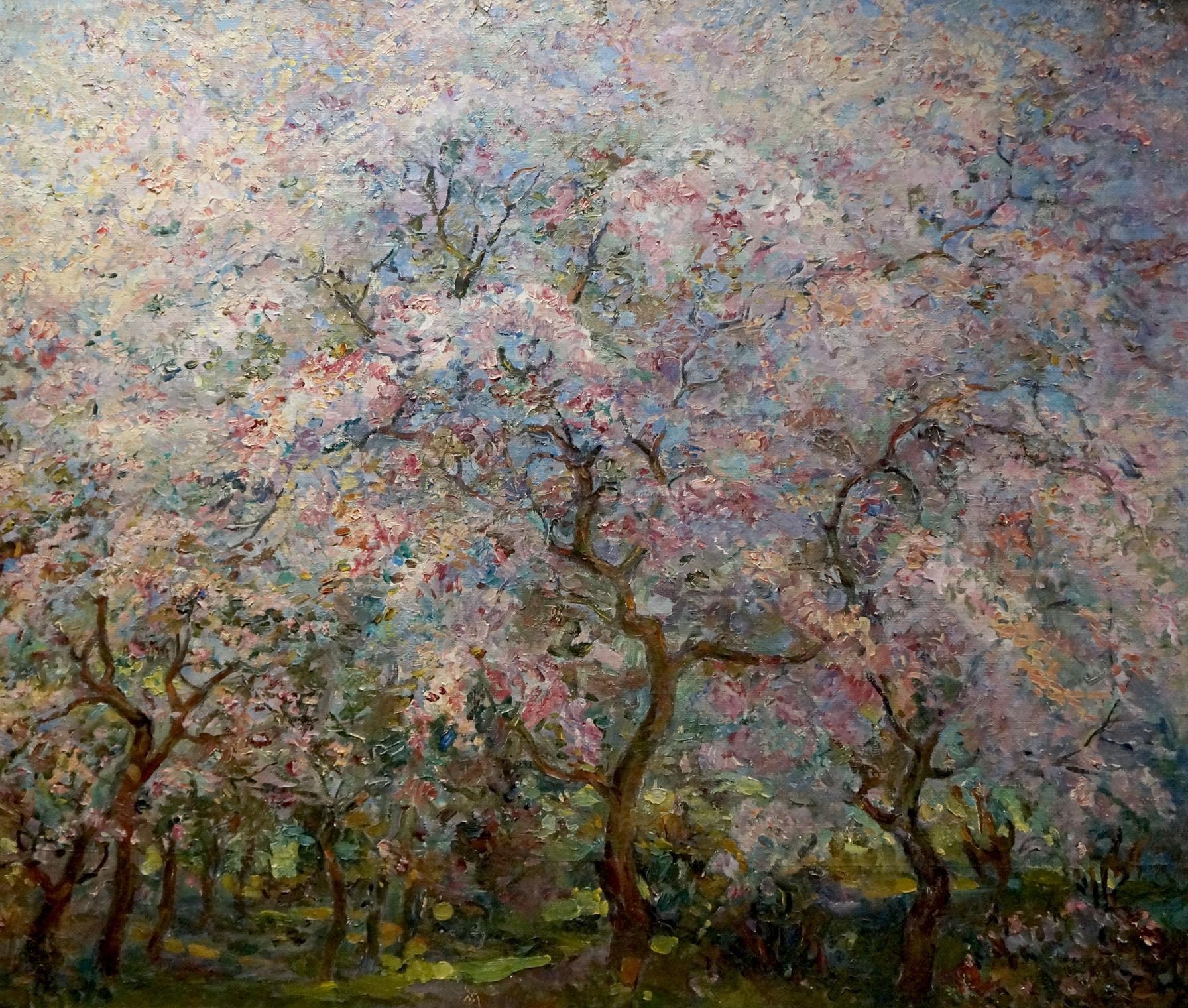 Impressionistic oil painting of blooming cherry trees by Tytarenko Odarka Anatoliivna