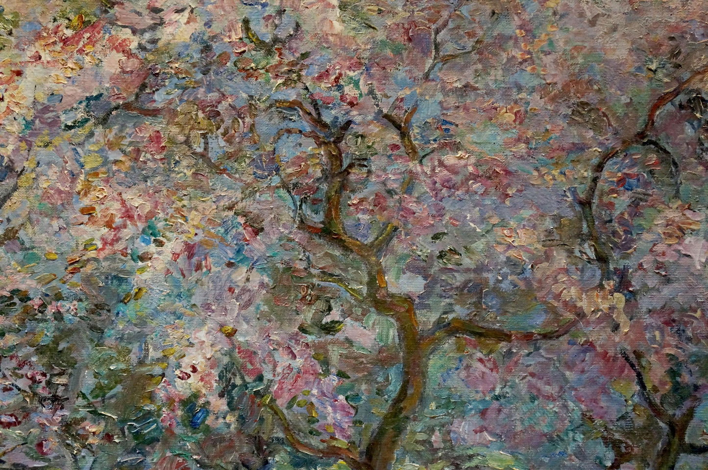 Vibrant impressionist oil painting of blooming trees by Tytarenko Odarka Anatoliivna