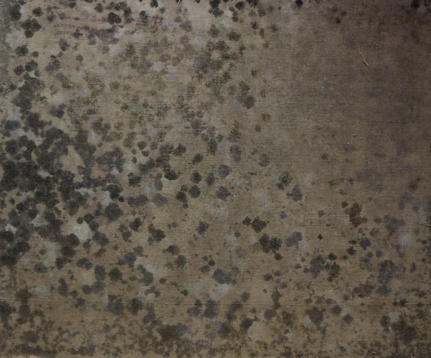 Mottled gray black speckled concrete back of Blooming trees oil painting by Tytarenko Odarka Anatoliivna