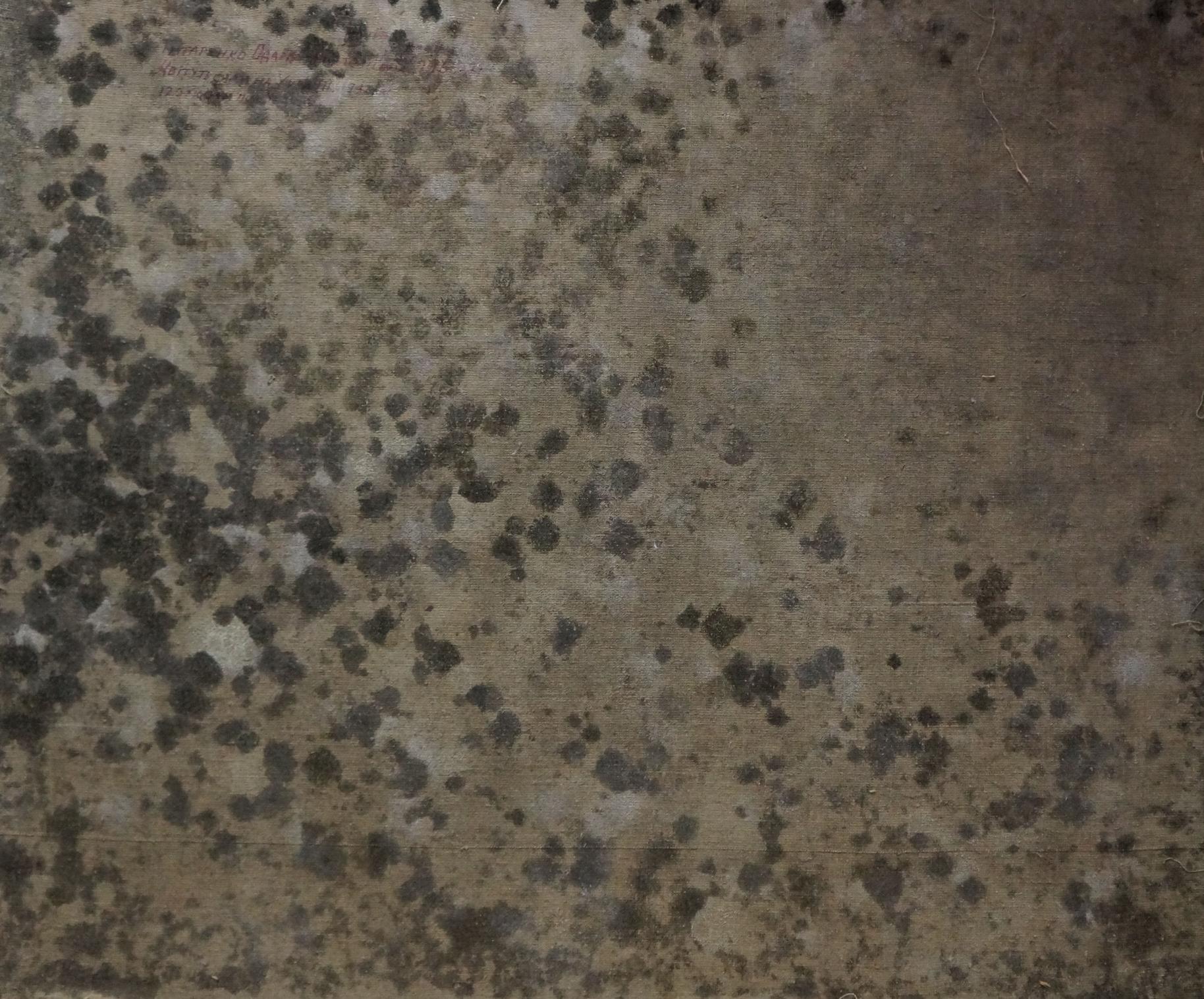Mottled gray black speckled concrete back of Blooming trees oil painting by Tytarenko Odarka Anatoliivna