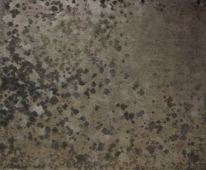 Mottled gray black speckled concrete back of Blooming trees oil painting by Tytarenko Odarka Anatoliivna