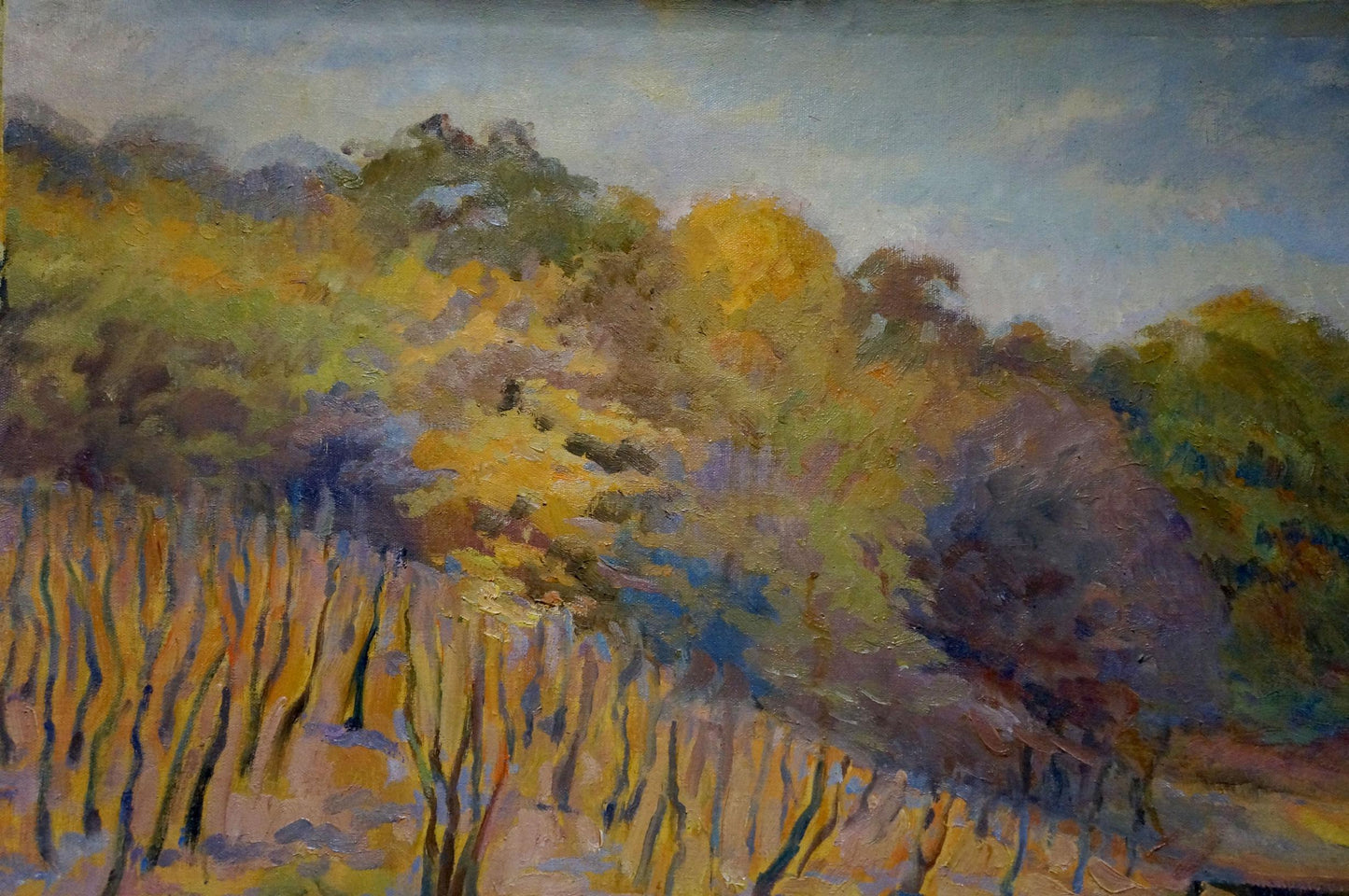 Autumn impressionist forest pond oil painting by Titarenko Maria Anatolyevna