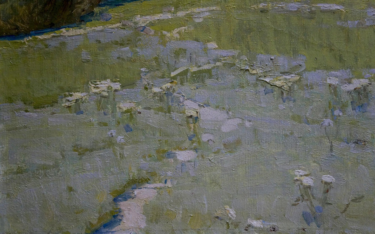 Oil painting Village Filbert by Alexander Alexandrovich, white flowers field