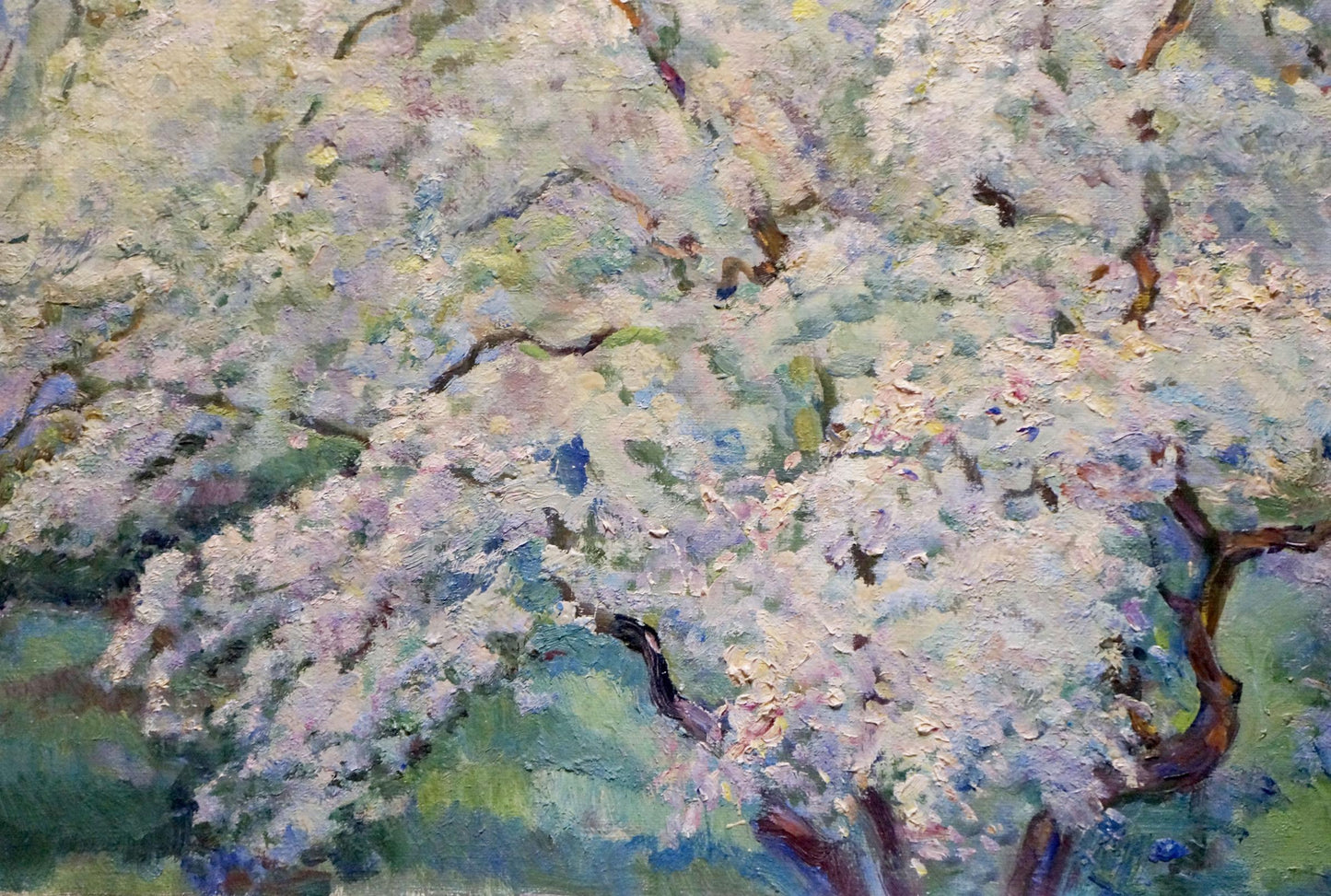 Oil painting of blooming tree by Tytarenko Odarka Anatoliivna