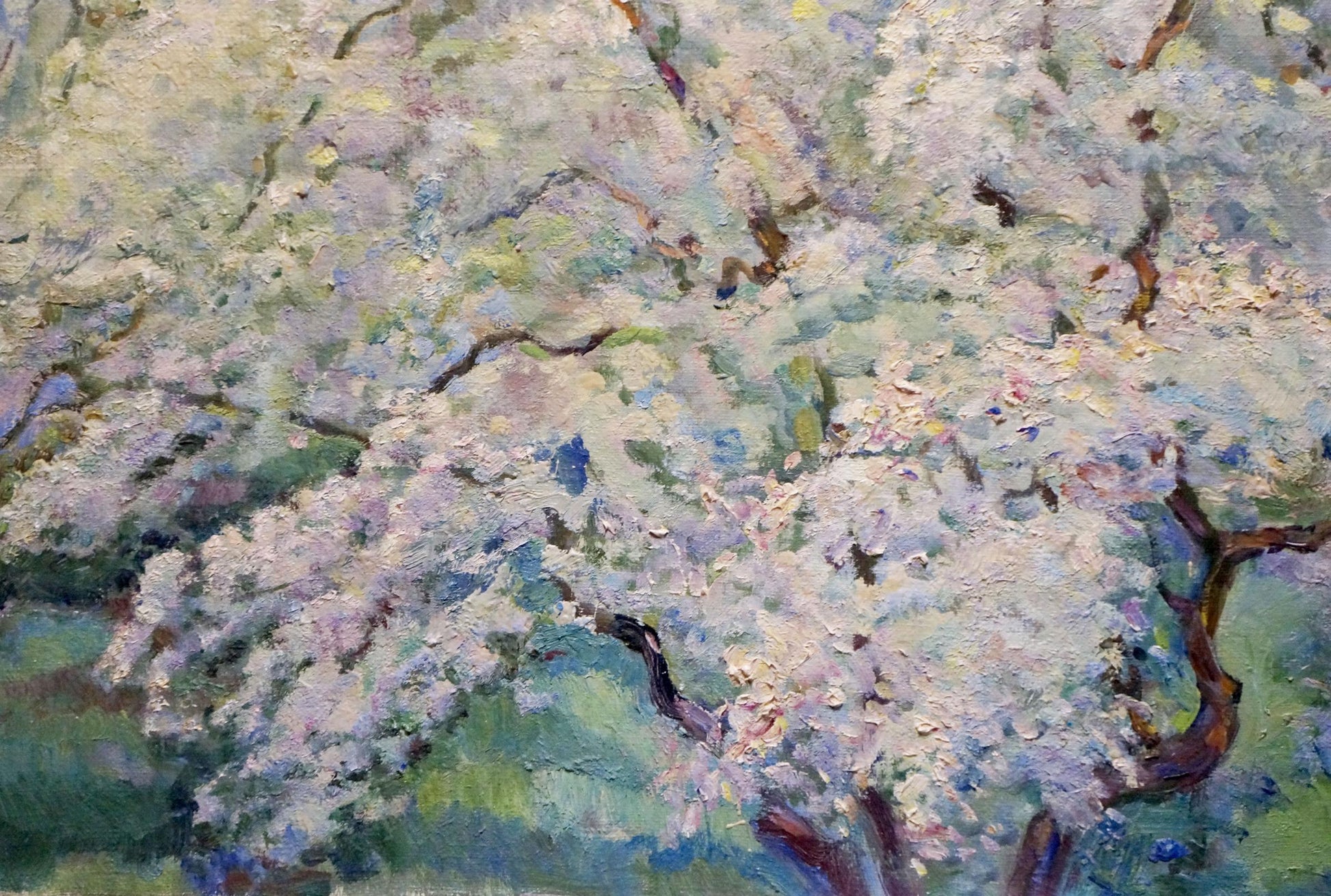 Oil painting of blooming tree by Tytarenko Odarka Anatoliivna