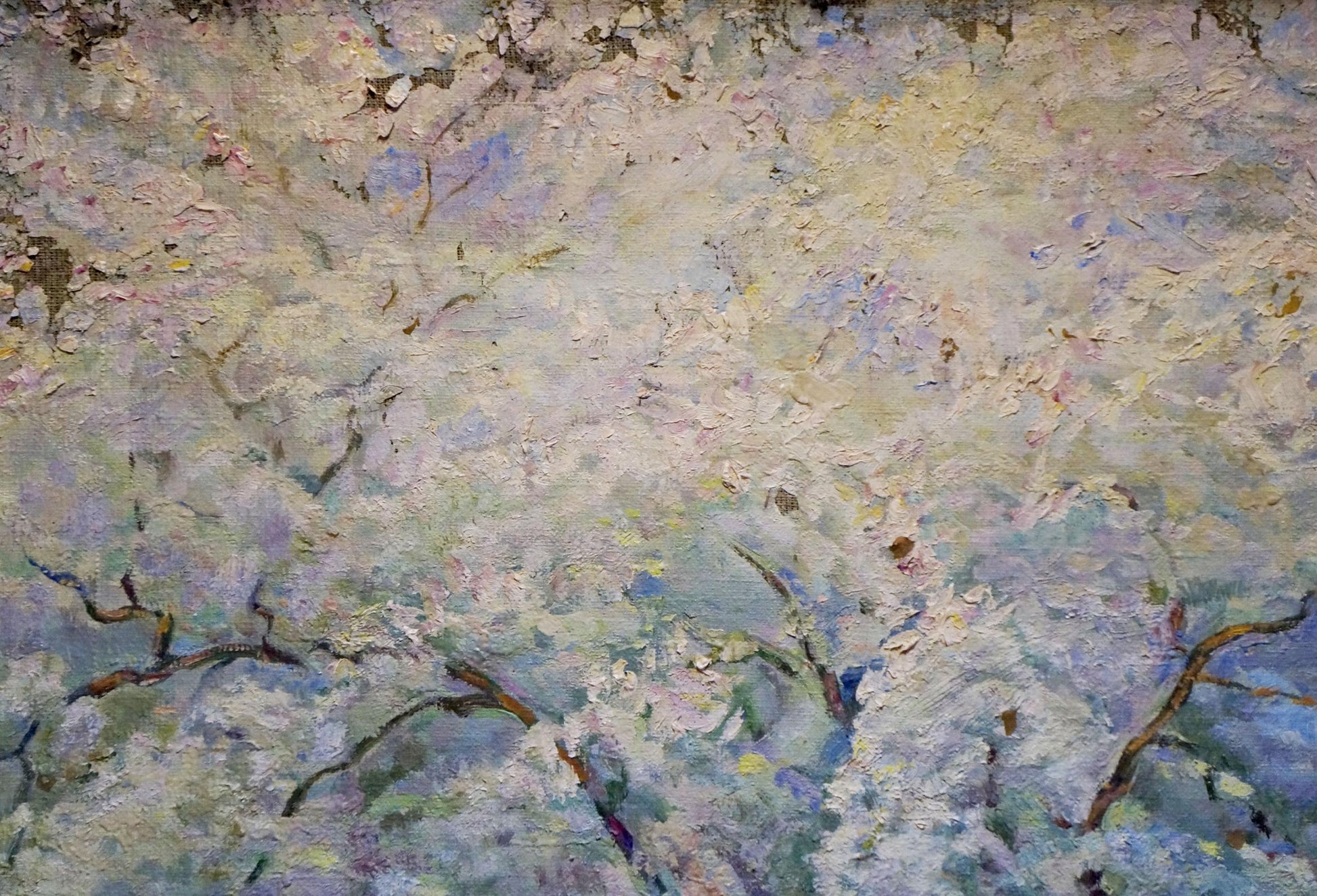 Oil painting of blooming tree by Tytarenko Odarka Anatoliivna