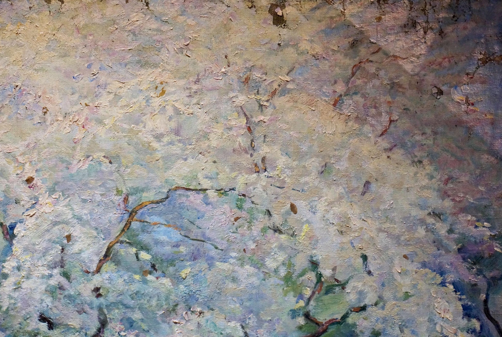 Oil painting of blooming tree by Tytarenko Odarka Anatoliivna
