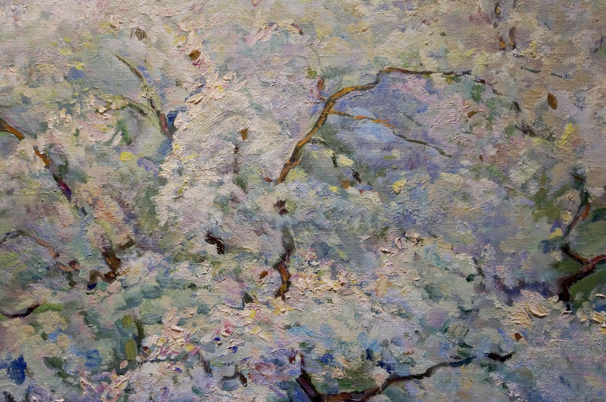 Impressionistic oil painting of blooming tree by Tytarenko Odarka Anatoliivna