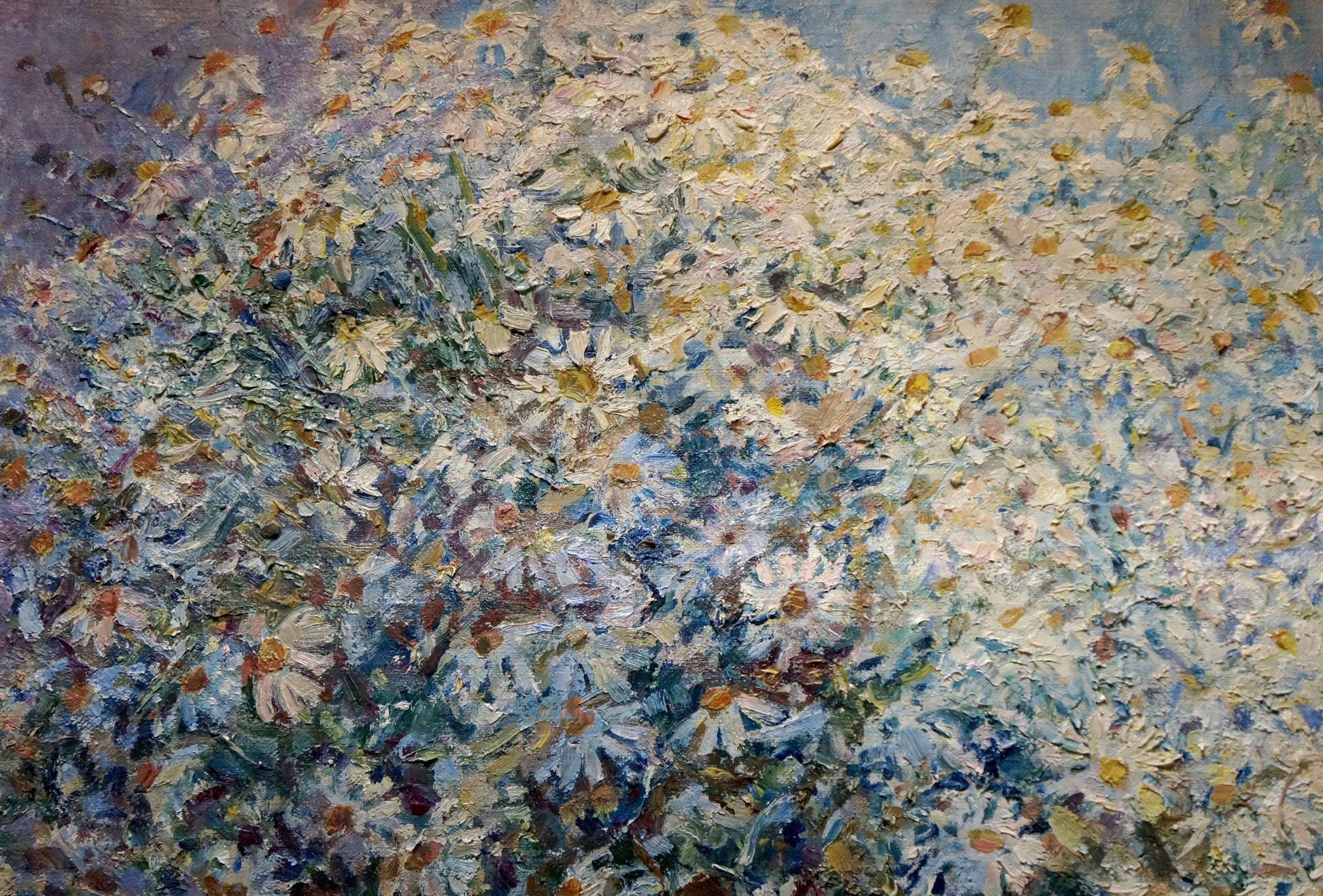 Impressionistic oil painting of white daisies by Titarenko Maria Anatolyevna