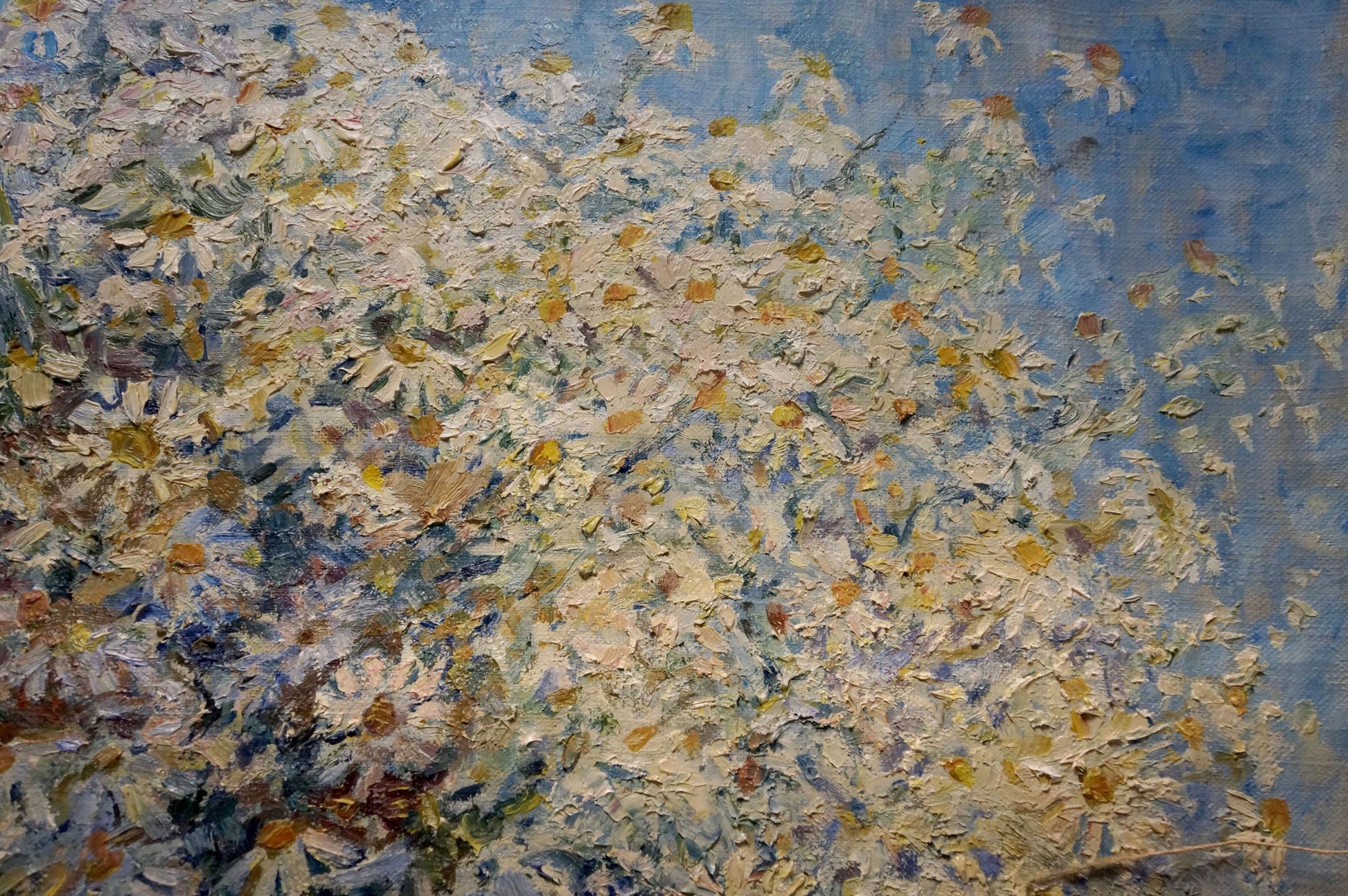 Vibrant impressionist oil painting of white daisies by Titarenko Maria Anatolyevna