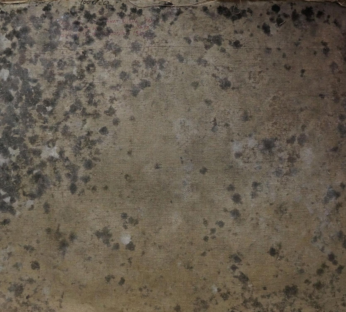 Back of Titarenko Maria Anatolyevna oil painting with mold spots