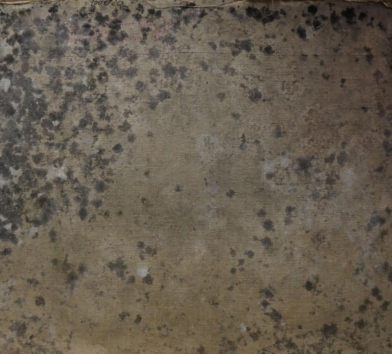 Back of Titarenko Maria Anatolyevna oil painting with mold spots