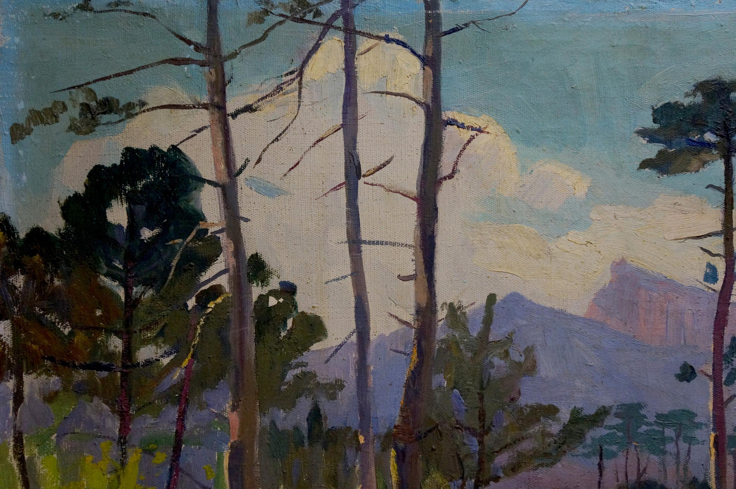 Oil painting Forest V. Molodtsov: tall trees, blue sky, distant mountains