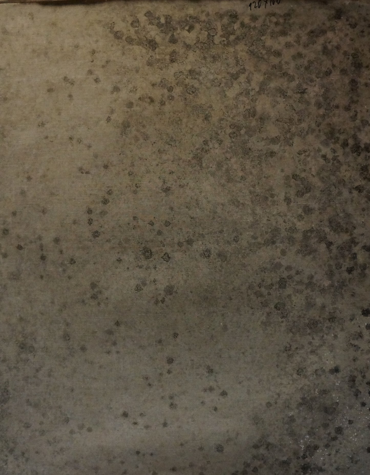 Oil painting back: mottled gray-brown textured surface with speckles, Titarenko Maria Anatolyevna