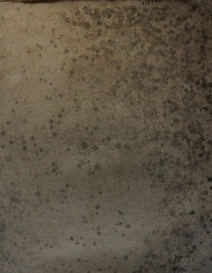 Oil painting back: mottled gray-brown textured surface with speckles, Titarenko Maria Anatolyevna