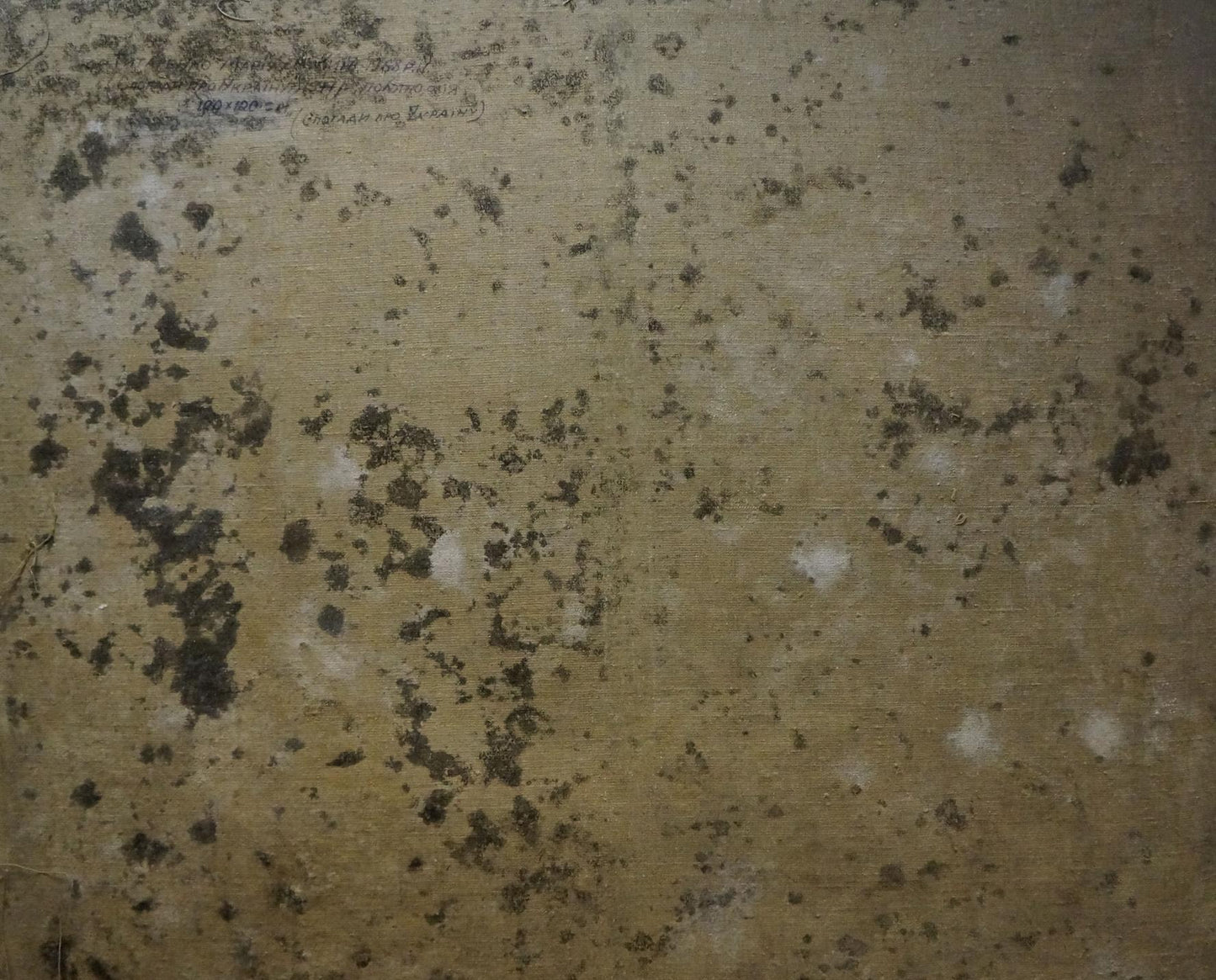 Back of Oil painting In the courtyard by Titarenko Maria Anatolyevna with mold patches