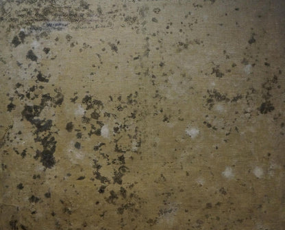Back of Oil painting In the courtyard by Titarenko Maria Anatolyevna with mold patches