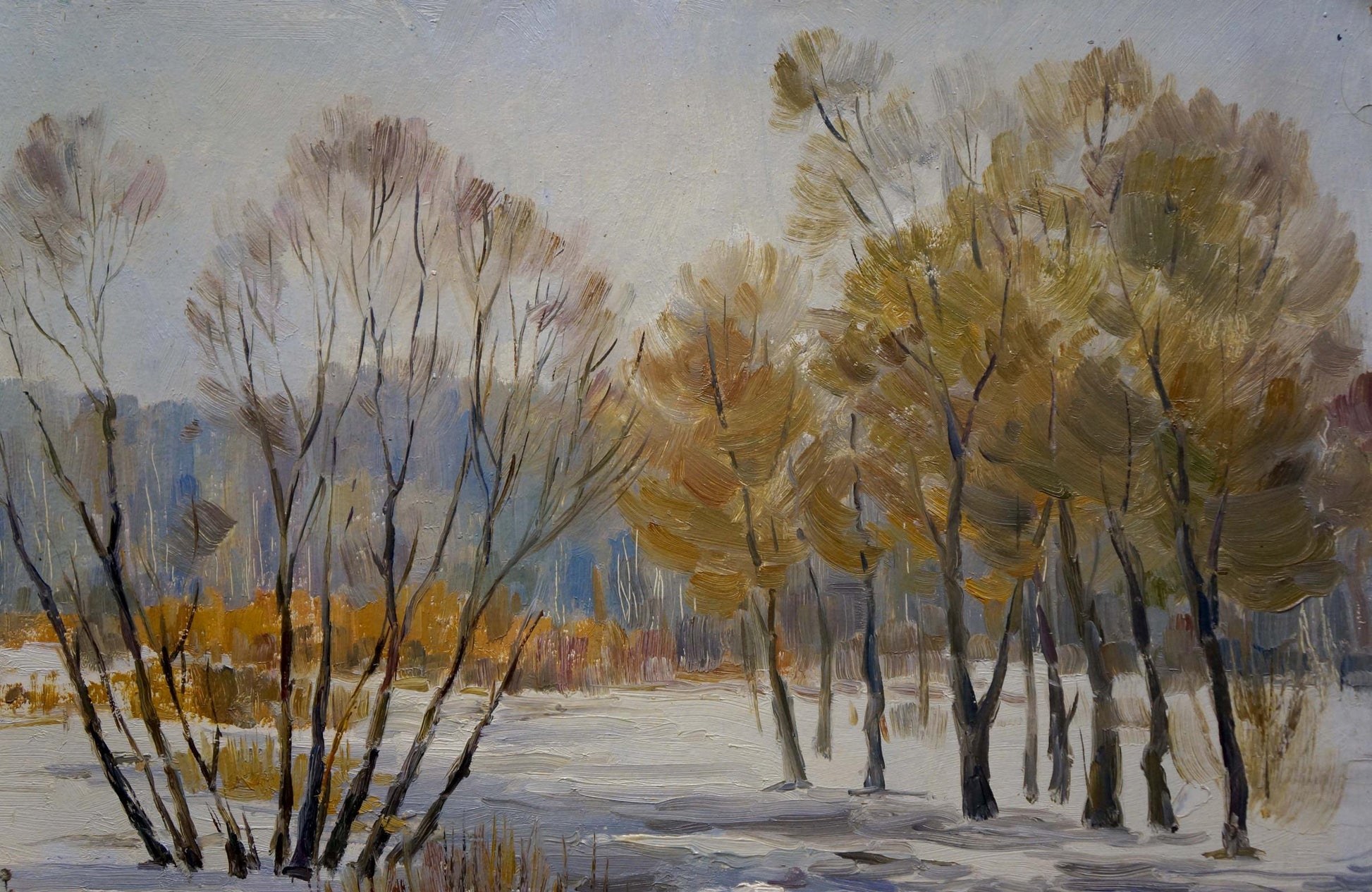 Autumn trees with golden leaves in snowy landscape by Gaiduk Zinaida Kirillovna